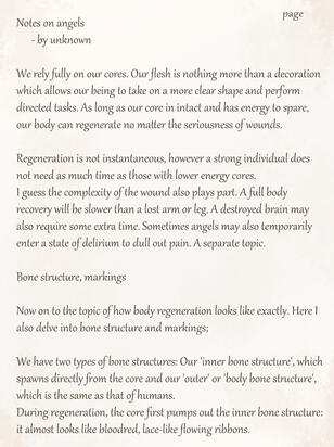 Bone structure, core, markings p3
