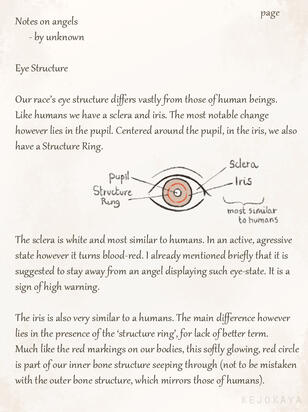 Eye Structure p1