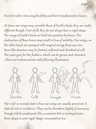 Wings p3